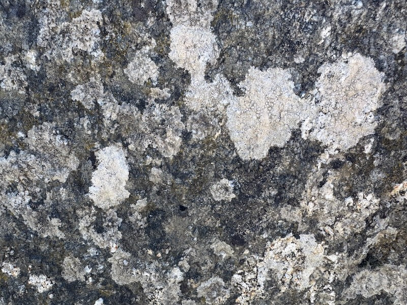 Steinbrunnen Unikat Oberfläche