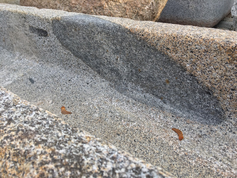 Alter Brunnentrog Detail Brunnenbecken