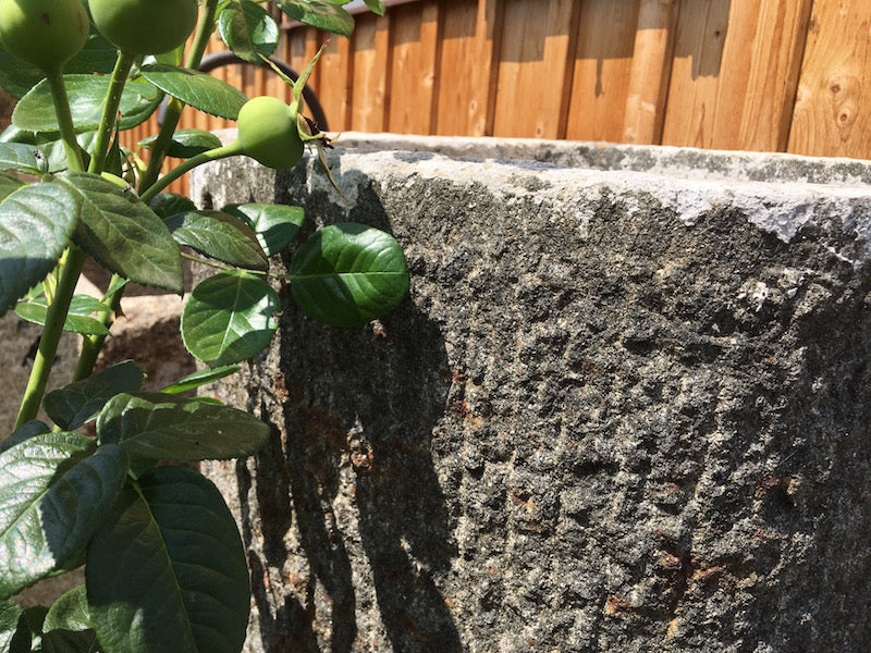 Diorit Steintrog Oberfläche