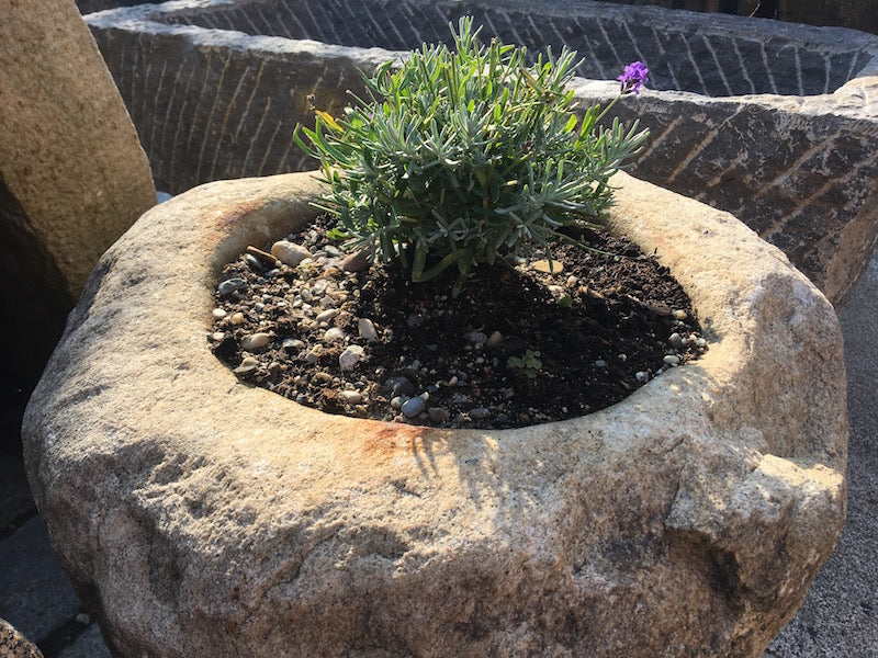 Alter Granitmörser Detail