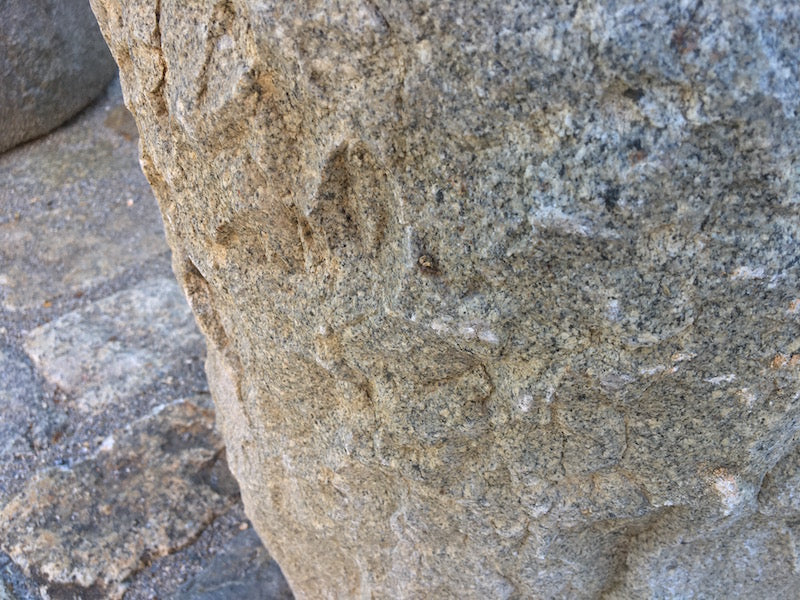 Steinbrunnen klein Oberfläche