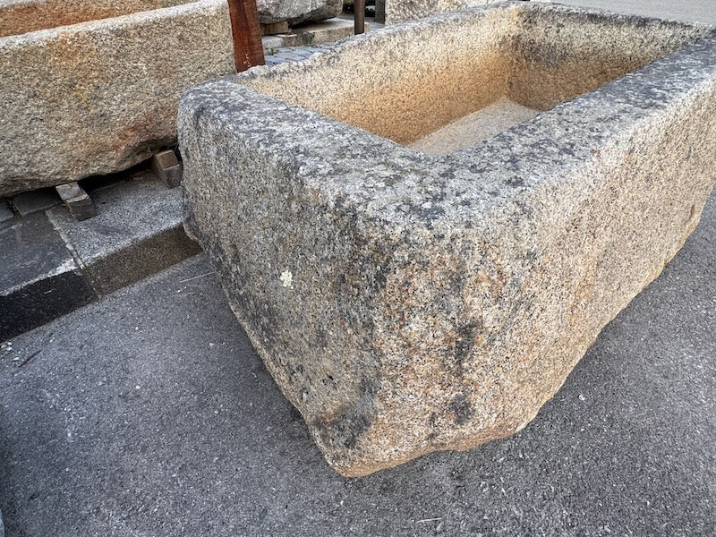 Historische Brunnen mit Flechten