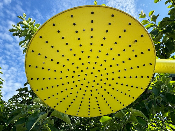 Gartendusche mit Warmwasser