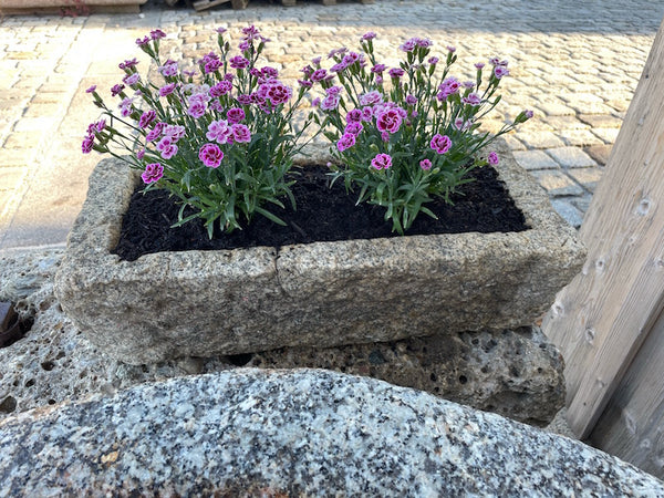 Pflanztrog Stein