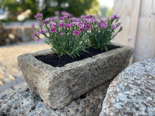 Pflanztrog Stein